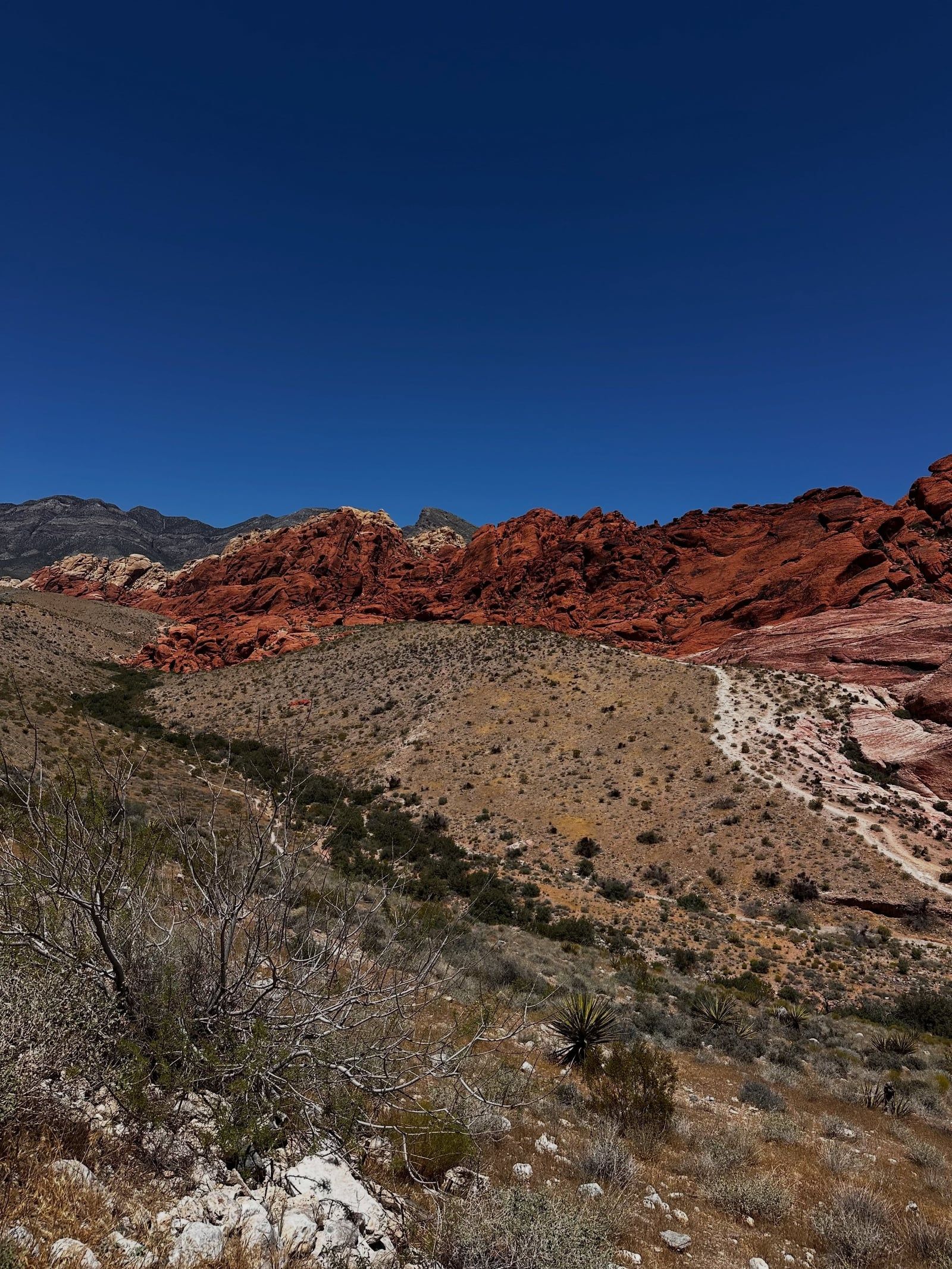 Ansicht von Red Rock Canyon