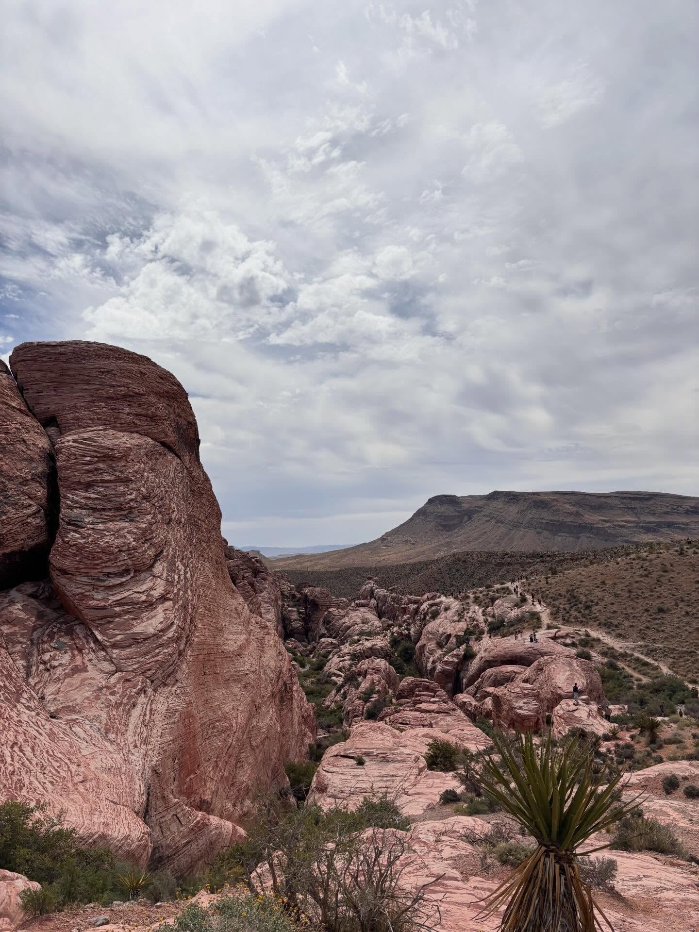 Ansicht von Red Rock Canyon
