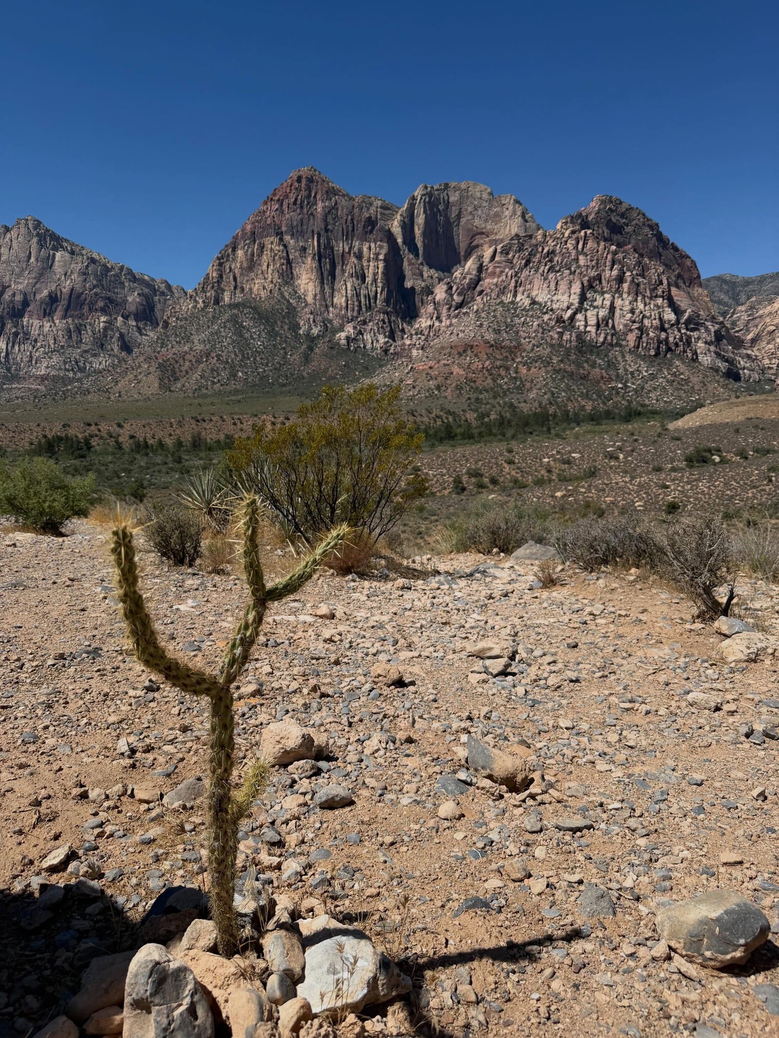 Ansicht von Red Rock Canyon