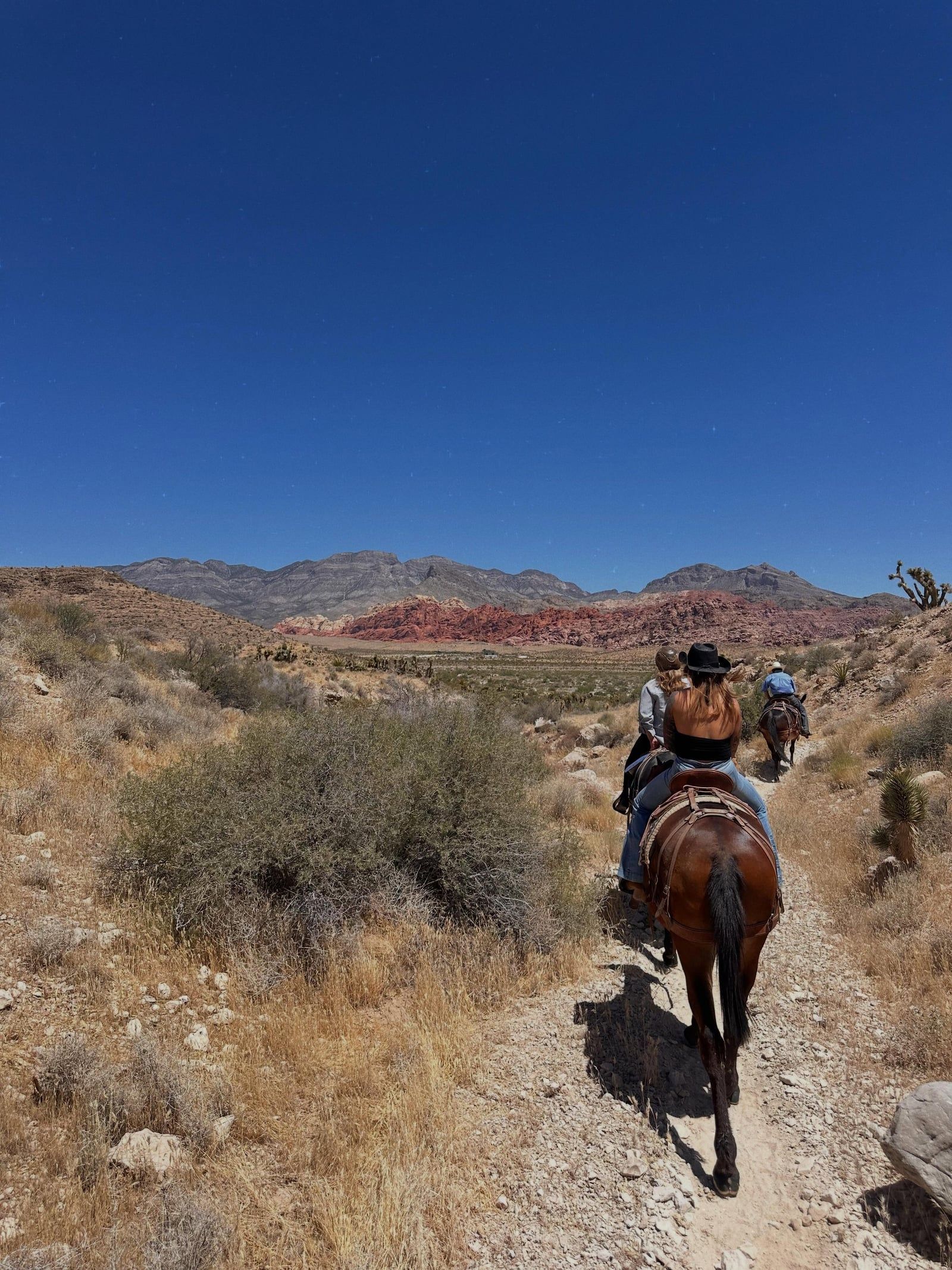 Besucherfoto einer Red Rock Canyon-Tour